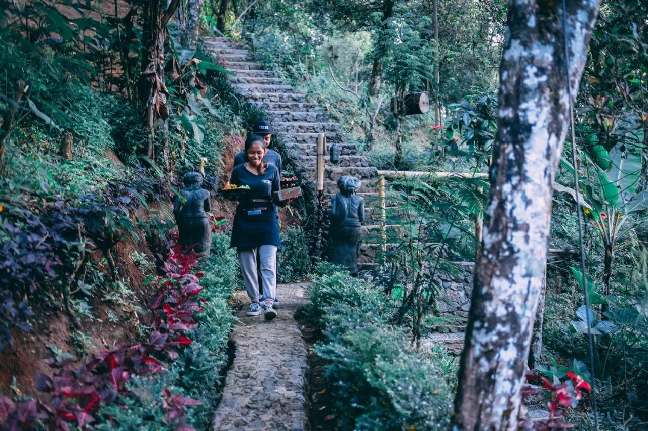 ホテル Desa Eko Munduk エクステリア 写真
